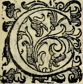 An illustration from Teatro d'imprese, 1623, leaf 312