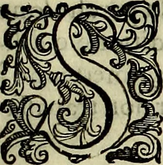 An illustration from Teatro d'imprese, 1623, leaf 320