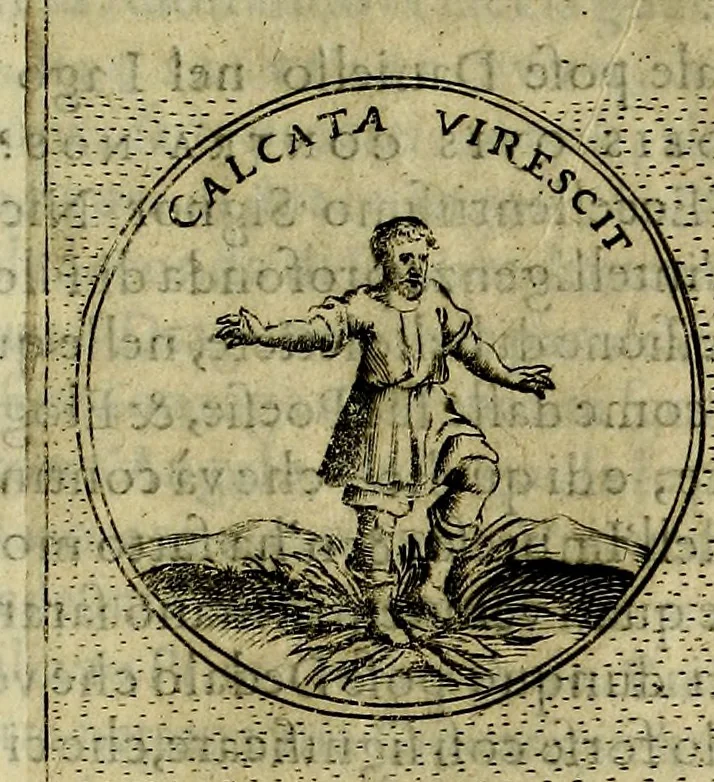 An illustration from Teatro d'imprese, 1623, leaf 522