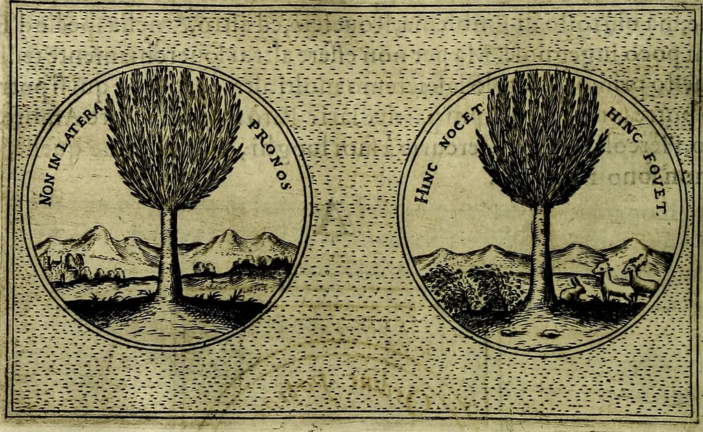 An illustration from Teatro d'imprese, 1623, leaf 525