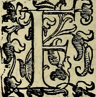 An illustration from Teatro d'imprese, 1623, leaf 525