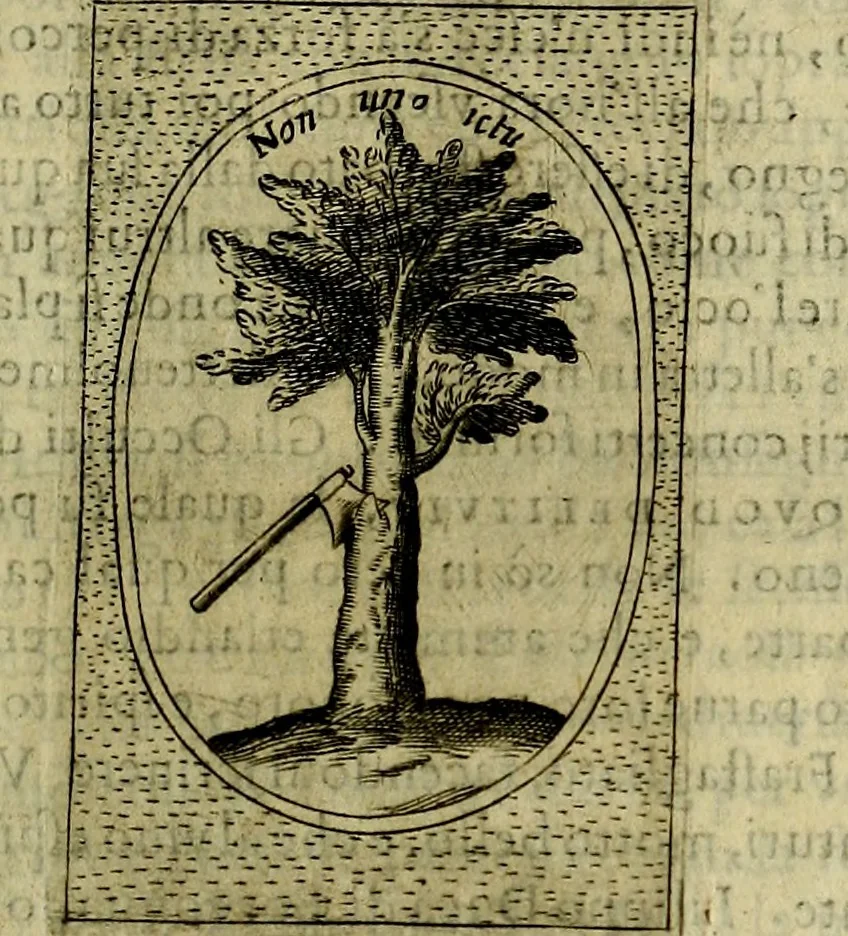 An illustration from Teatro d'imprese, 1623, leaf 528