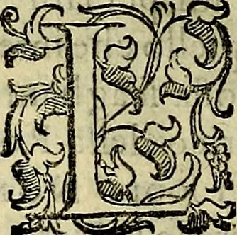 An illustration from Teatro d'imprese, 1623, leaf 531