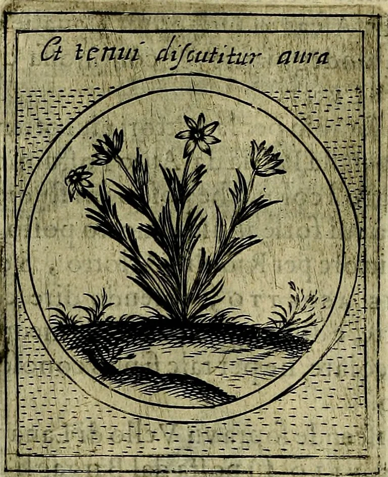 An illustration from Teatro d'imprese, 1623, leaf 537