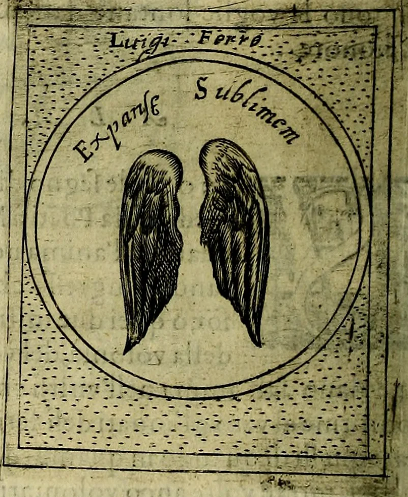 An illustration from Teatro d'imprese, 1623, leaf 543