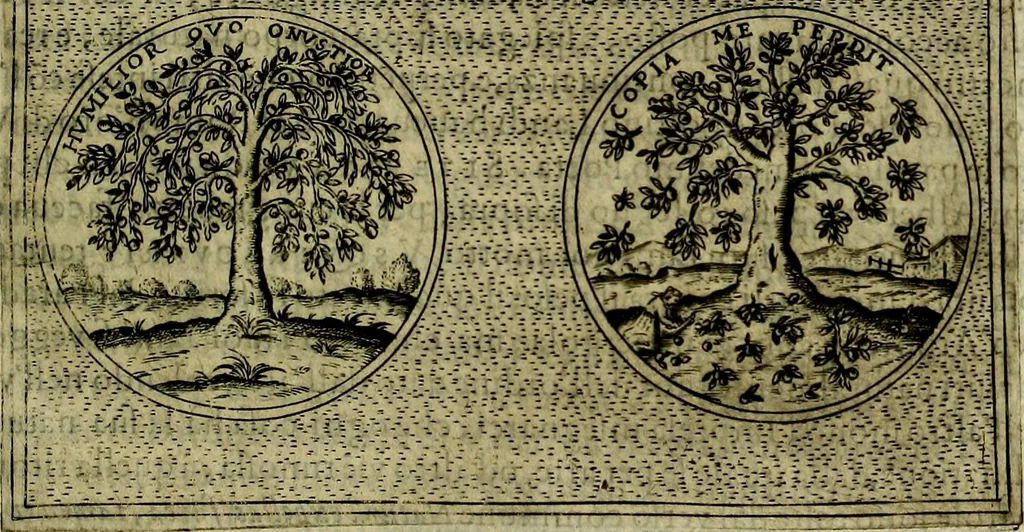 An illustration from Teatro d'imprese, 1623, leaf 544