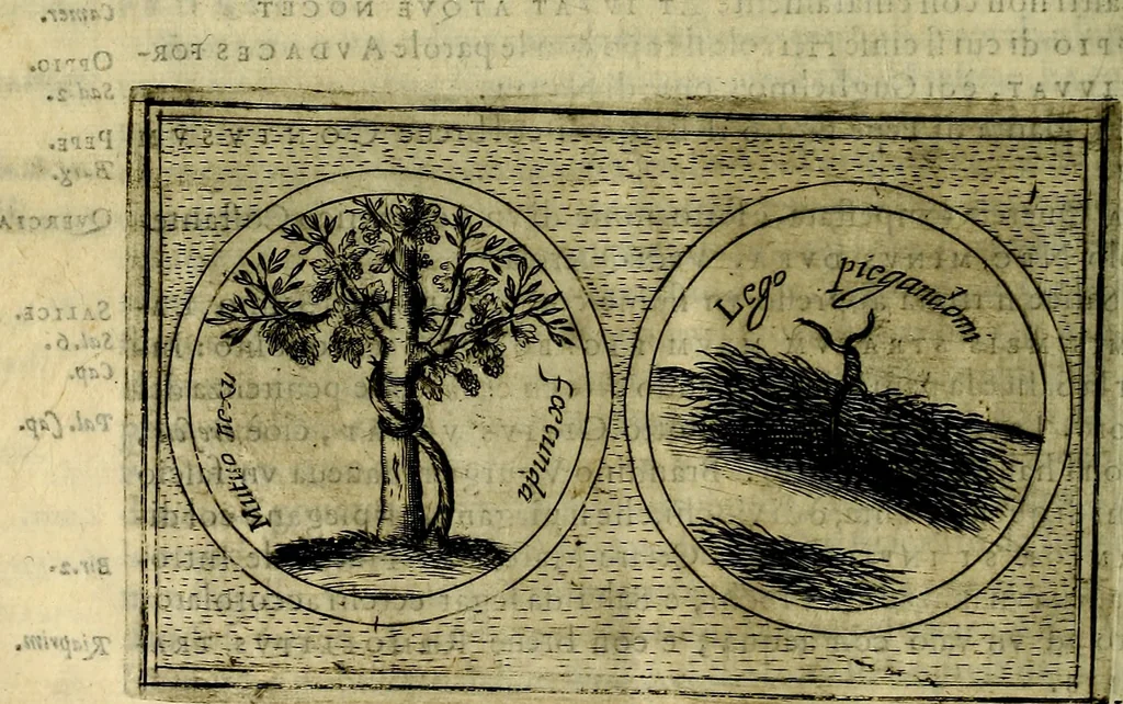 An illustration from Teatro d'imprese, 1623, leaf 553