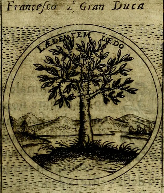 An illustration from Teatro d'imprese, 1623, leaf 554
