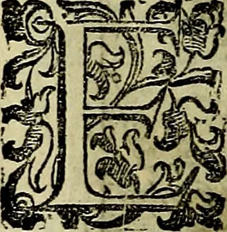 An illustration from Teatro d'imprese, 1623, leaf 555