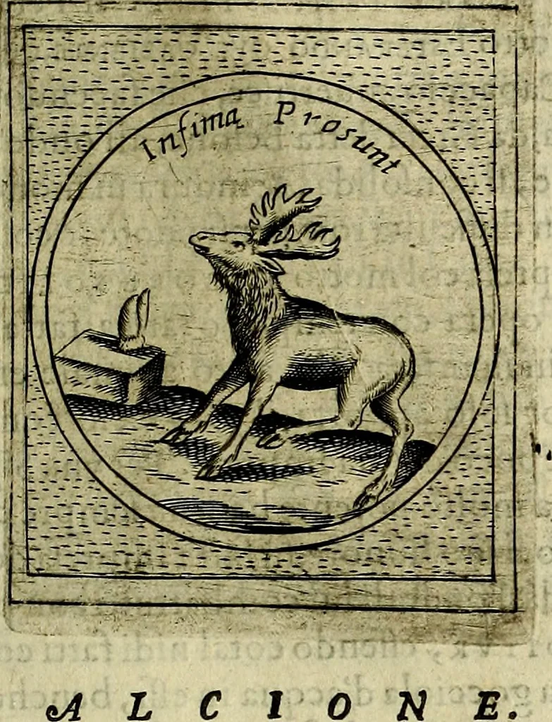 An illustration from Teatro d'imprese, 1623, leaf 556