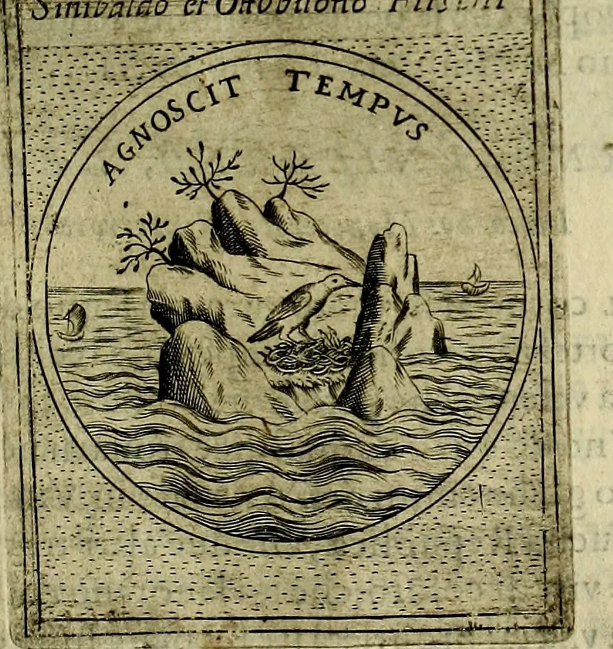 An illustration from Teatro d'imprese, 1623, leaf 556