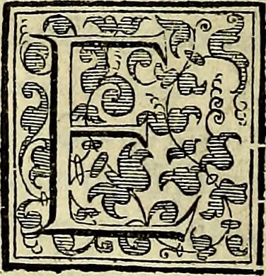An illustration from Teatro d'imprese, 1623, leaf 557