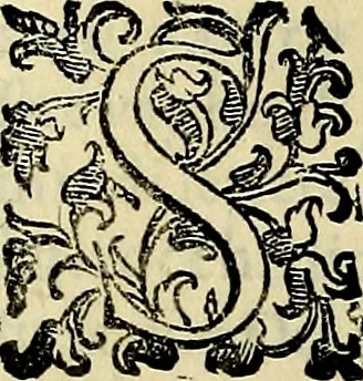 An illustration from Teatro d'imprese, 1623, leaf 573