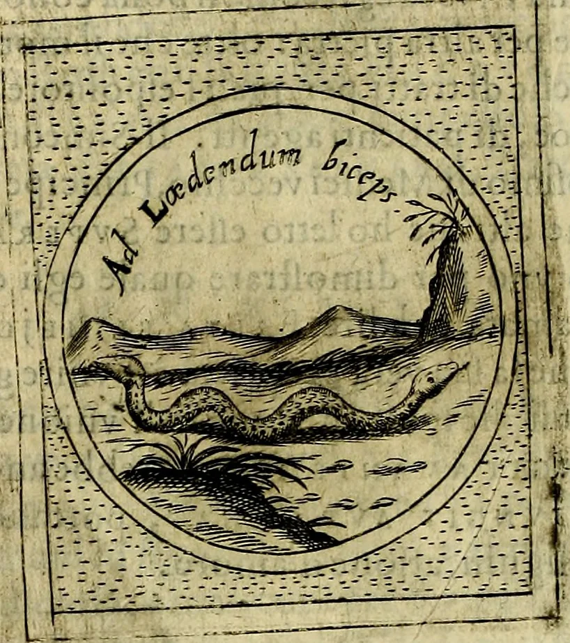 An illustration from Teatro d'imprese, 1623, leaf 575