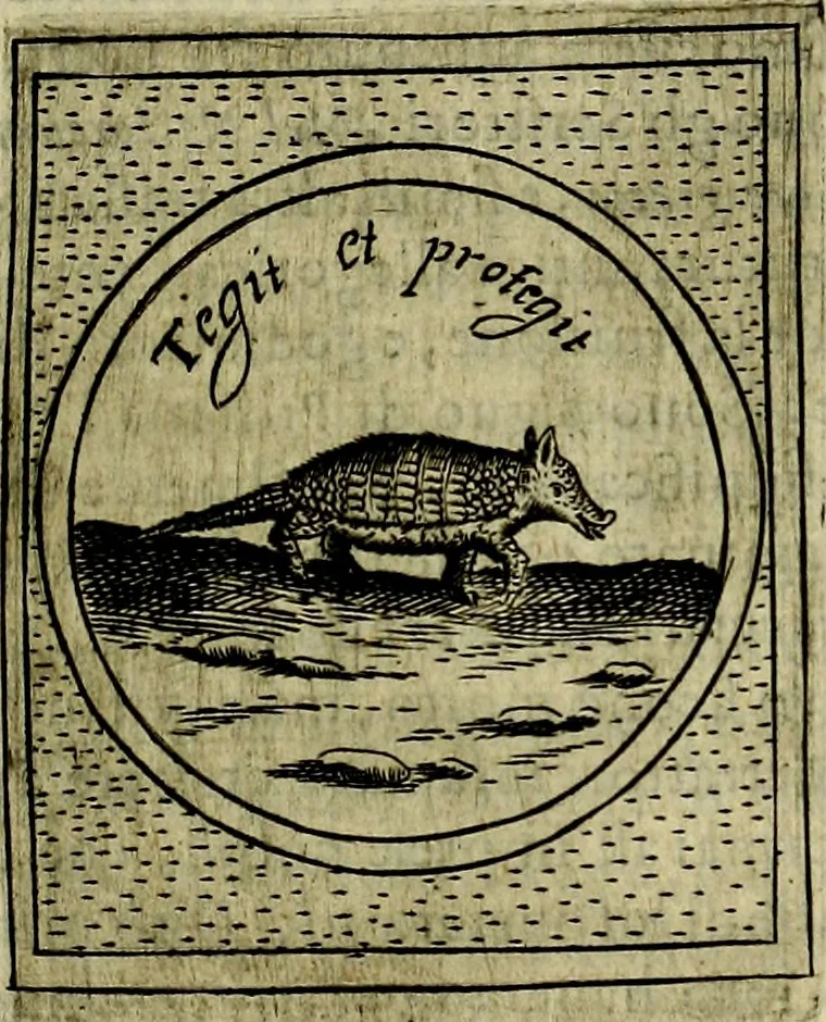 An illustration from Teatro d'imprese, 1623, leaf 576