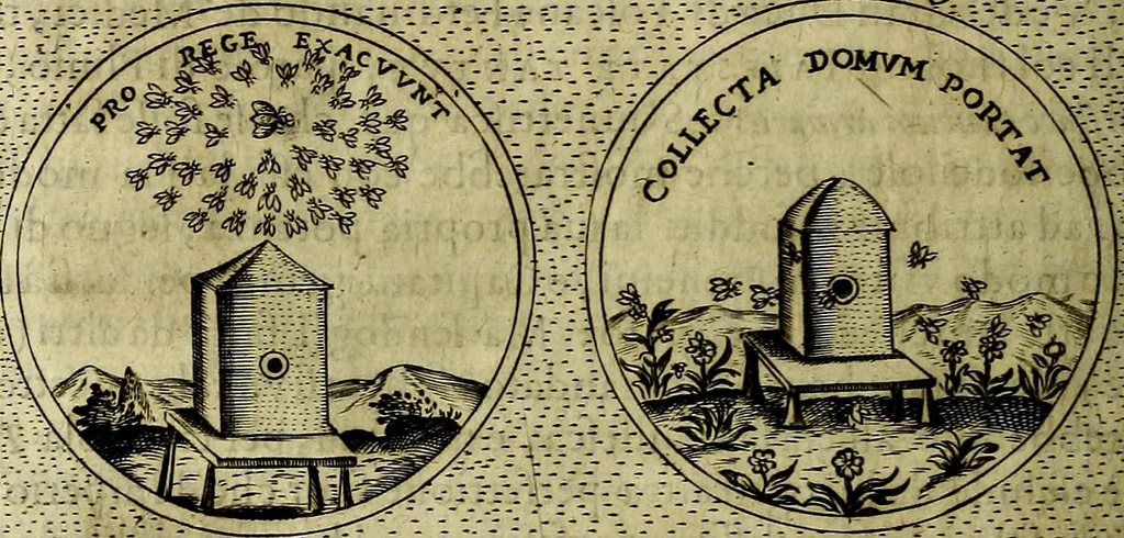 An illustration from Teatro d'imprese, 1623, leaf 579