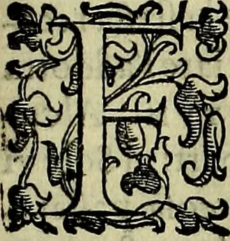 An illustration from Teatro d'imprese, 1623, leaf 590