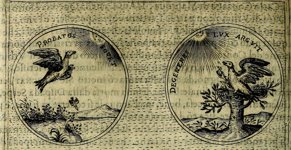 An illustration from Teatro d'imprese, 1623, leaf 593