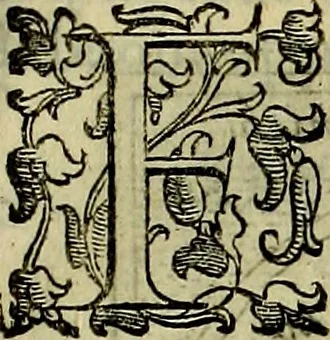 An illustration from Teatro d'imprese, 1623, leaf 606