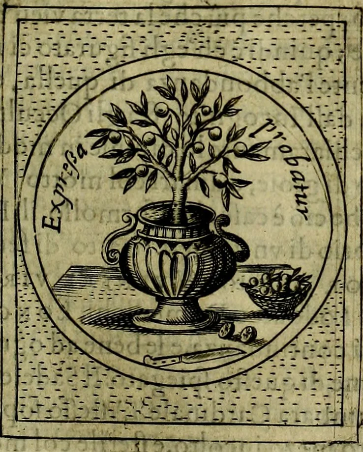 An illustration from Teatro d'imprese, 1623, leaf 606