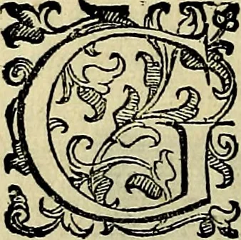 An illustration from Teatro d'imprese, 1623, leaf 607
