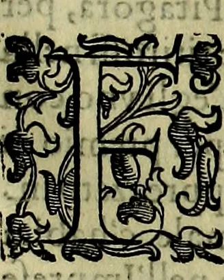 An illustration from Teatro d'imprese, 1623, leaf 616