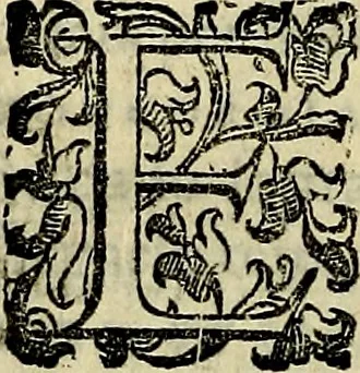 An illustration from Teatro d'imprese, 1623, leaf 617