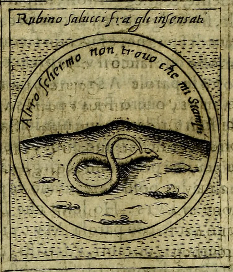 An illustration from Teatro d'imprese, 1623, leaf 619