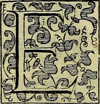 An illustration from Teatro d'imprese, 1623, leaf 621