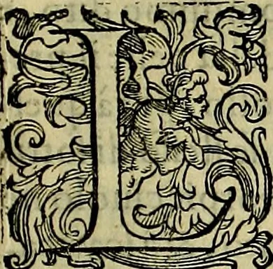 An illustration from Teatro d'imprese, 1623, leaf 626
