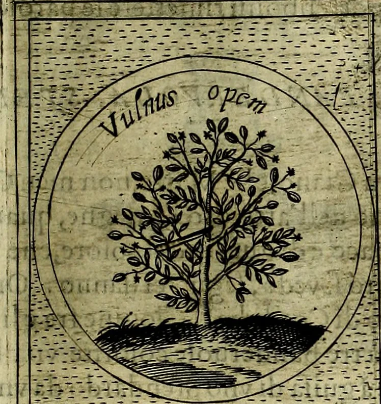An illustration from Teatro d'imprese, 1623, leaf 630