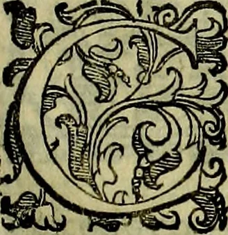 An illustration from Teatro d'imprese, 1623, leaf 634