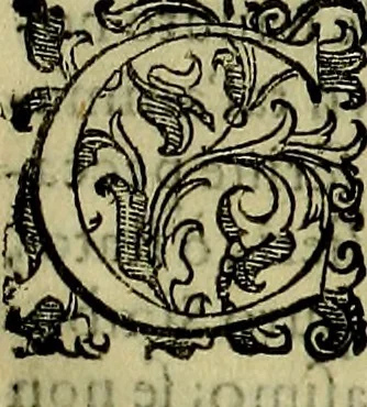 An illustration from Teatro d'imprese, 1623, leaf 636