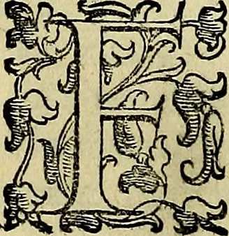 An illustration from Teatro d'imprese, 1623, leaf 643