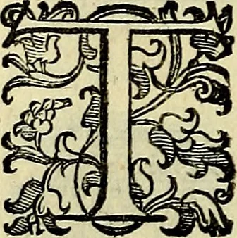 An illustration from Teatro d'imprese, 1623, leaf 647