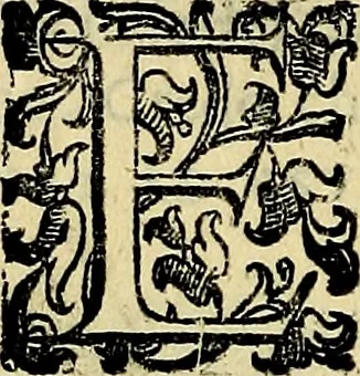 An illustration from Teatro d'imprese, 1623, leaf 651