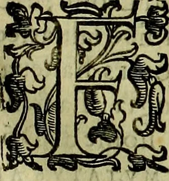 An illustration from Teatro d'imprese, 1623, leaf 654