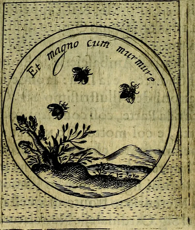 An illustration from Teatro d'imprese, 1623, leaf 659