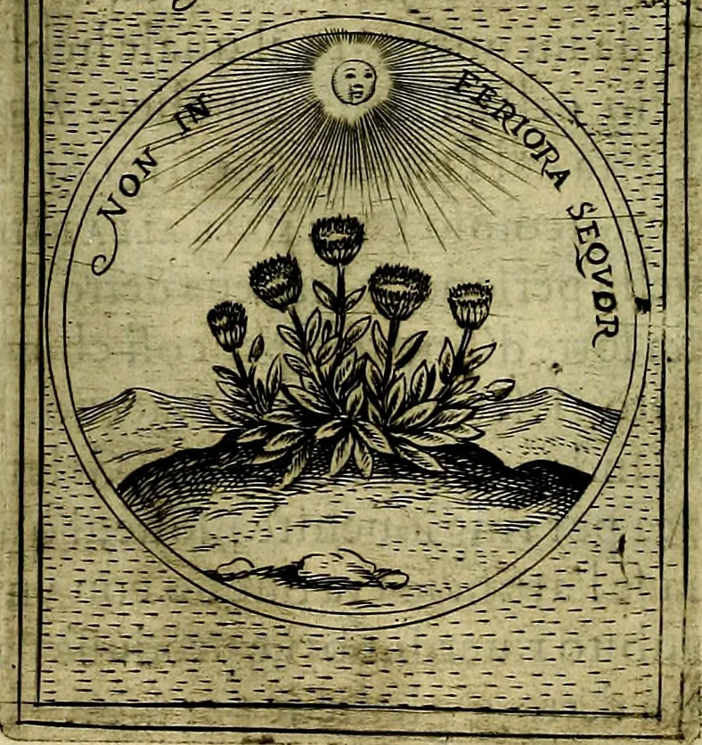 An illustration from Teatro d'imprese, 1623, leaf 663