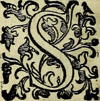 An illustration from Teatro d'imprese, 1623, leaf 665