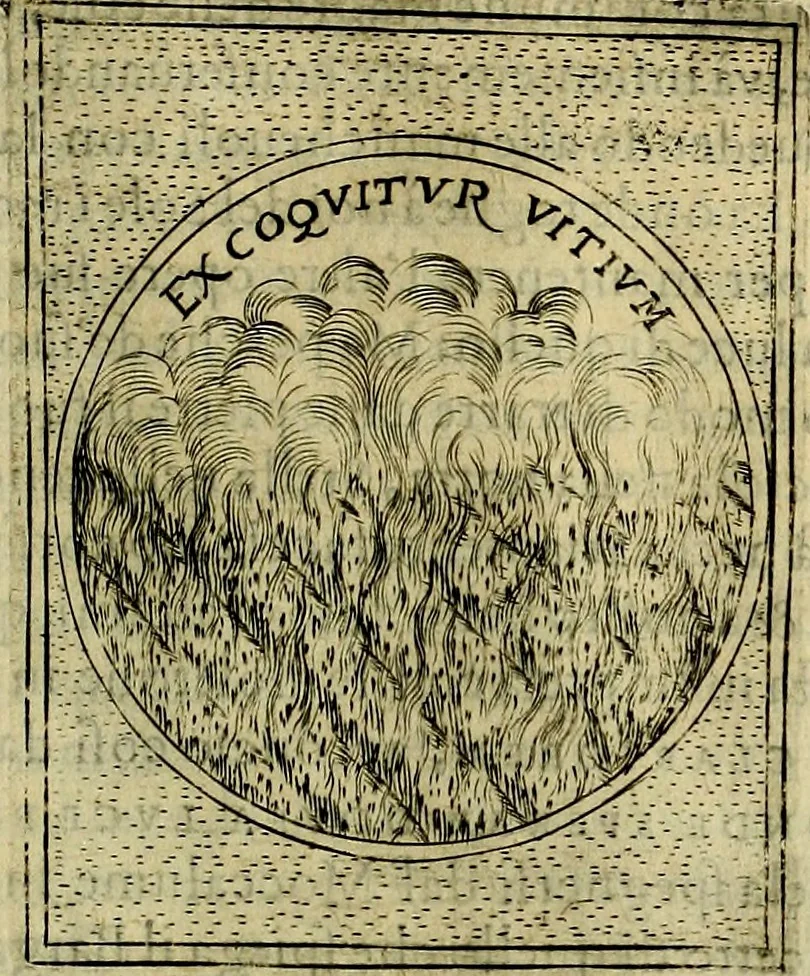 An illustration from Teatro d'imprese, 1623, leaf 670