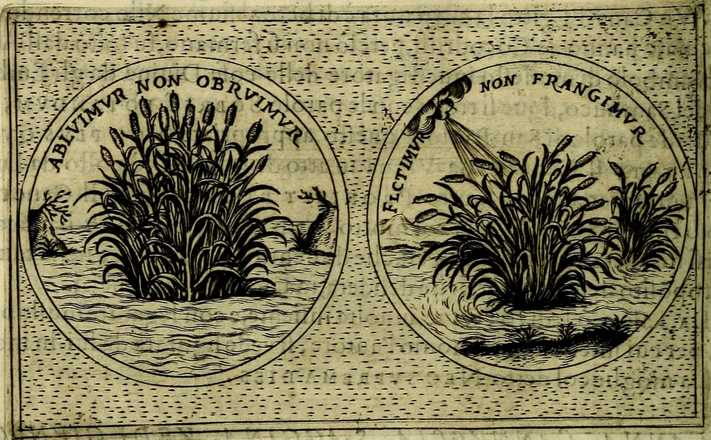An illustration from Teatro d'imprese, 1623, leaf 681