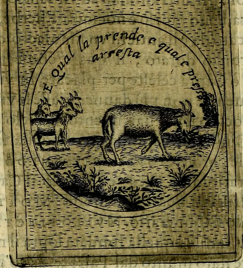 An illustration from Teatro d'imprese, 1623, leaf 687