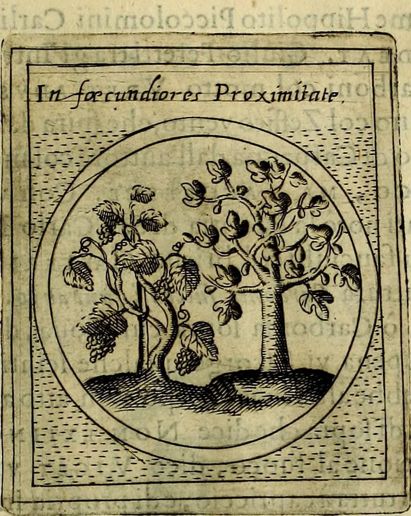 An illustration from Teatro d'imprese, 1623, leaf 690