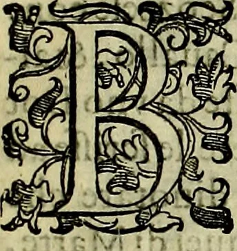 An illustration from Teatro d'imprese, 1623, leaf 696