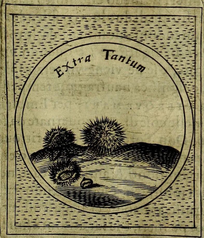 An illustration from Teatro d'imprese, 1623, leaf 702