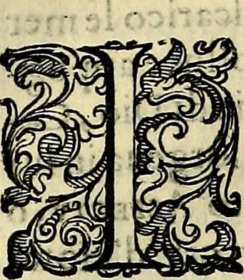 An illustration from Teatro d'imprese, 1623, leaf 705