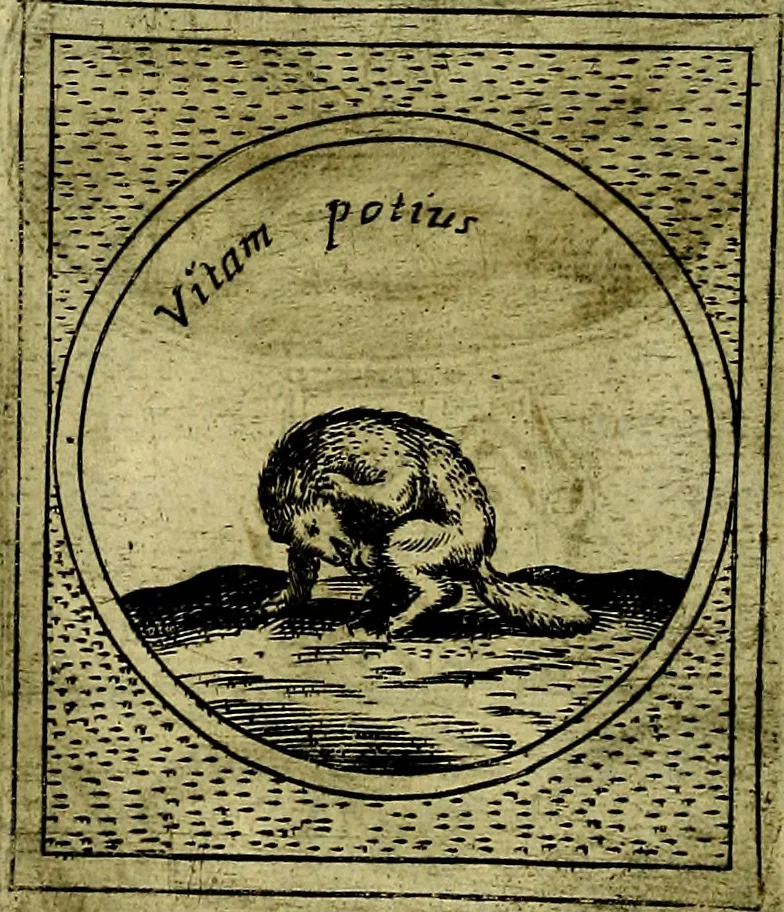 An illustration from Teatro d'imprese, 1623, leaf 705