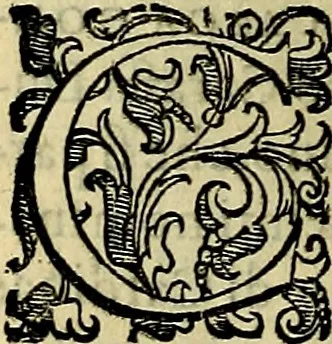 An illustration from Teatro d'imprese, 1623, leaf 711