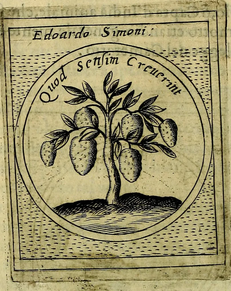 An illustration from Teatro d'imprese, 1623, leaf 713